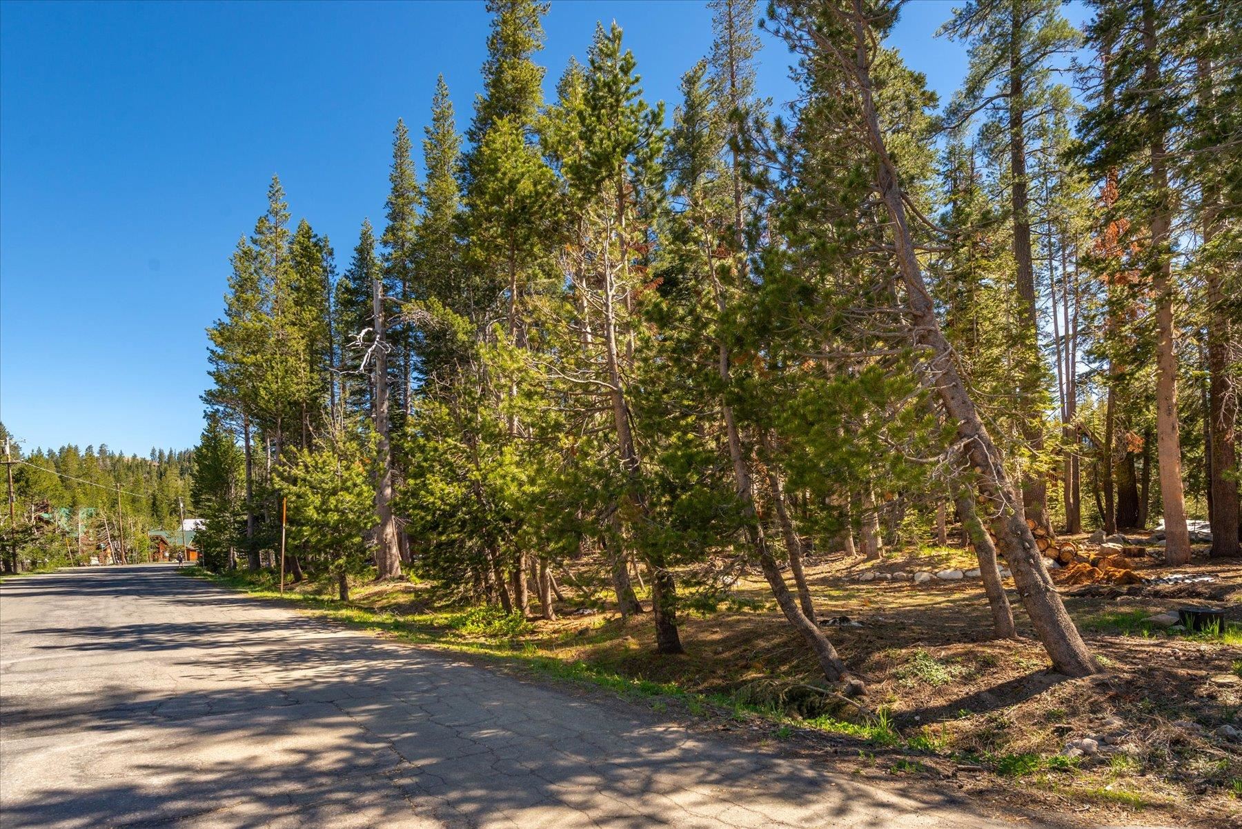 a view of street with trees