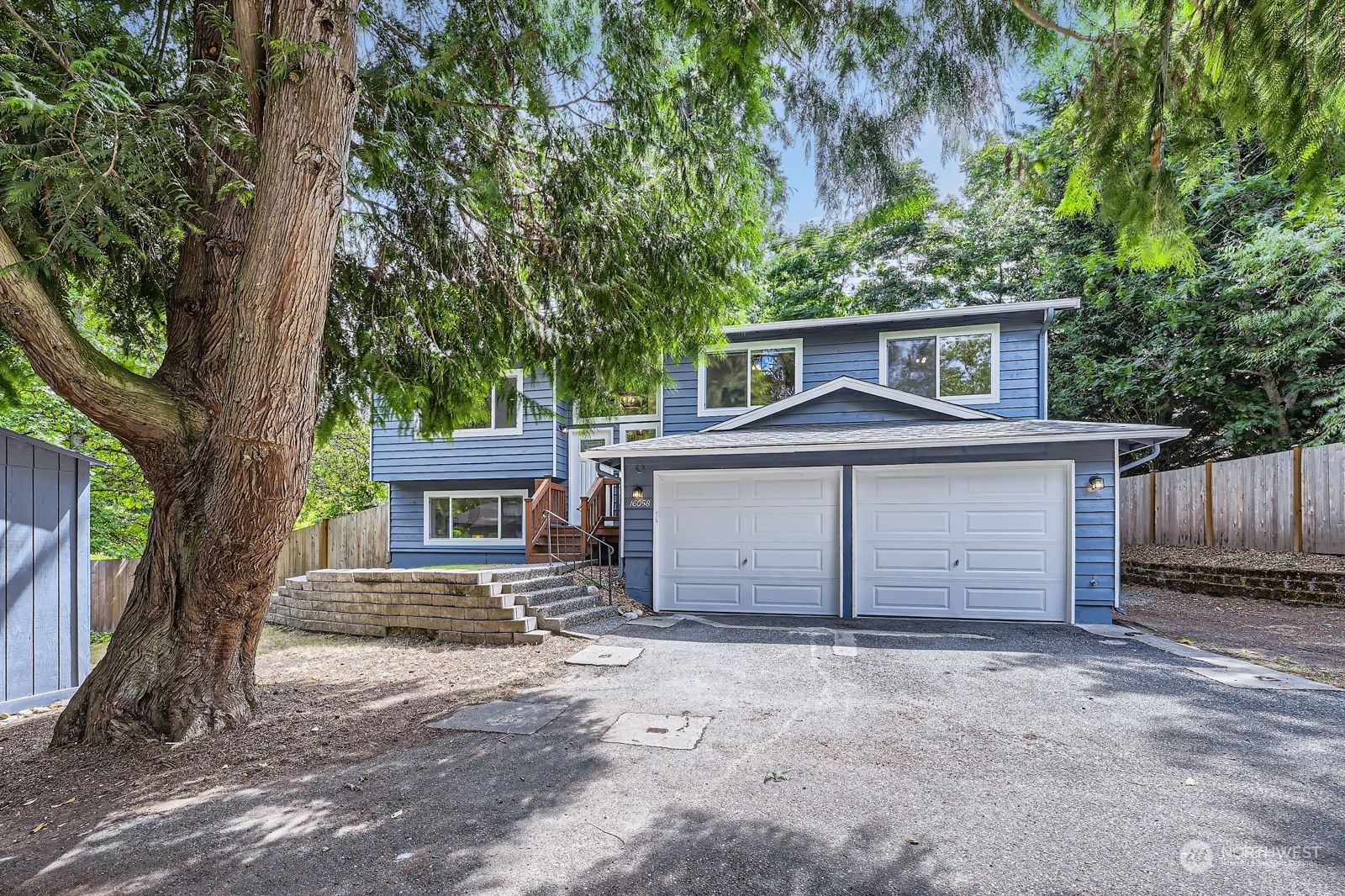 front view of a house with a large tree