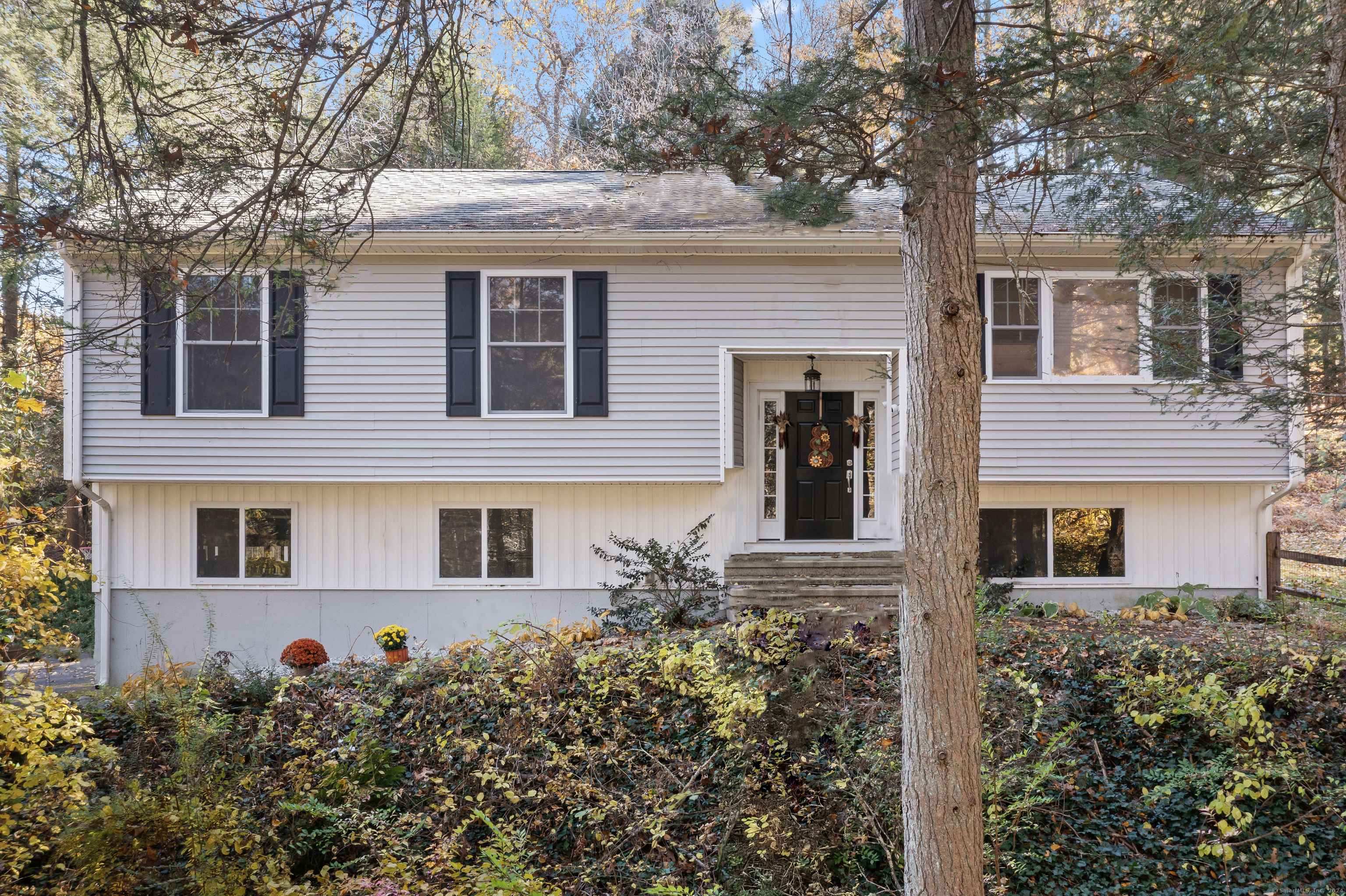 front view of a house with a tree