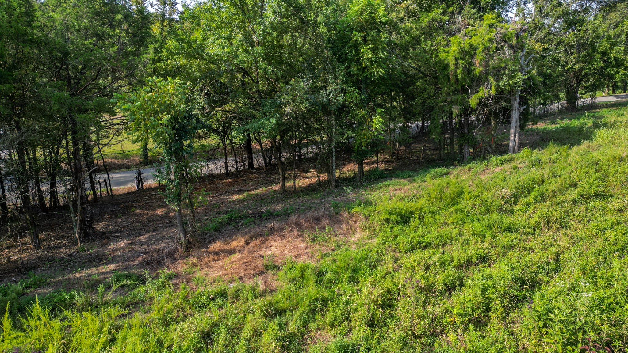 a view of a backyard of a house