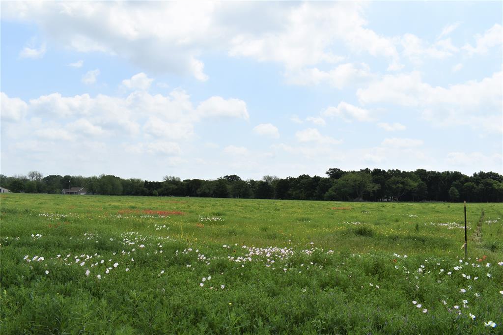 a view of an outdoor space and a yard