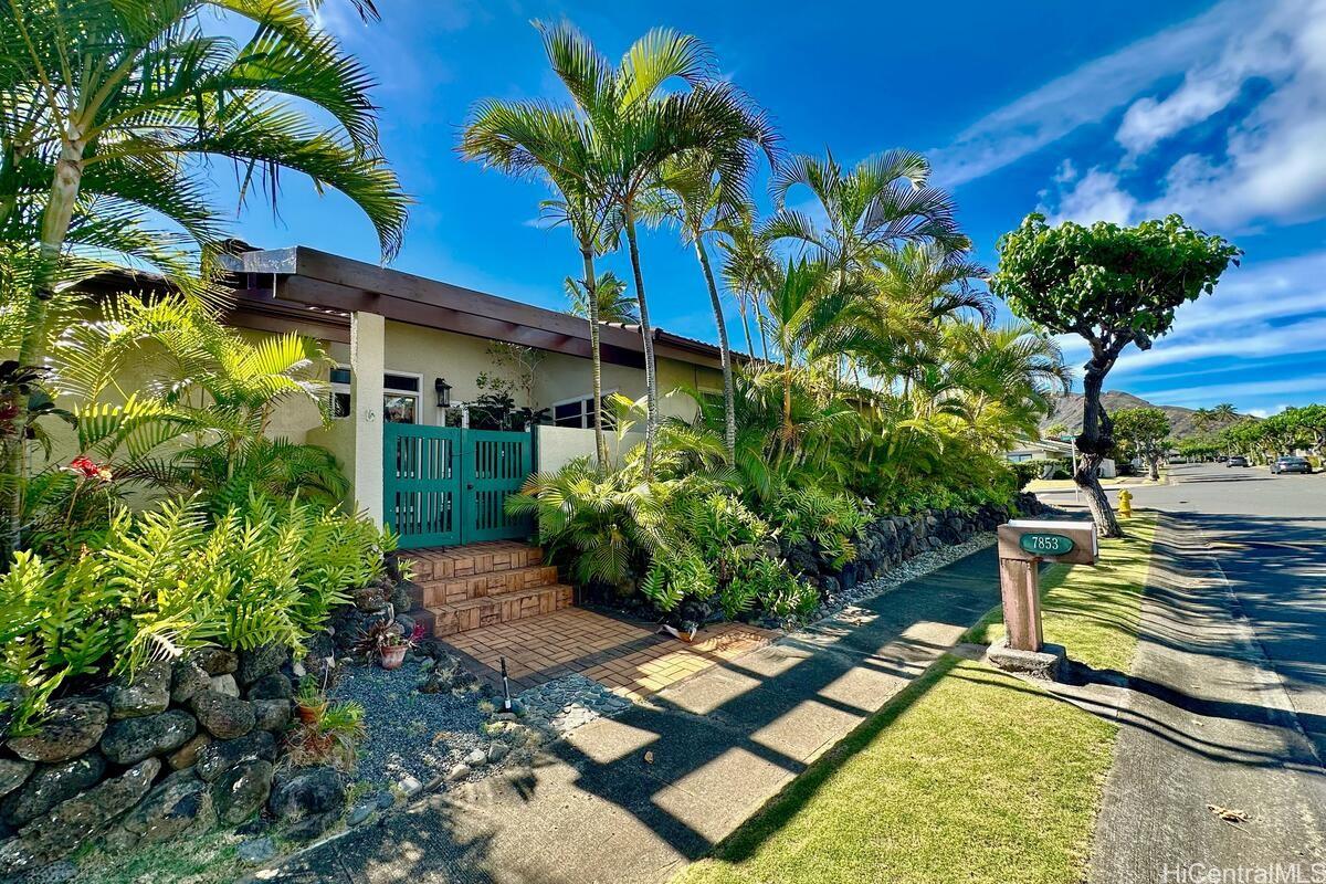 a view of a backyard with plants