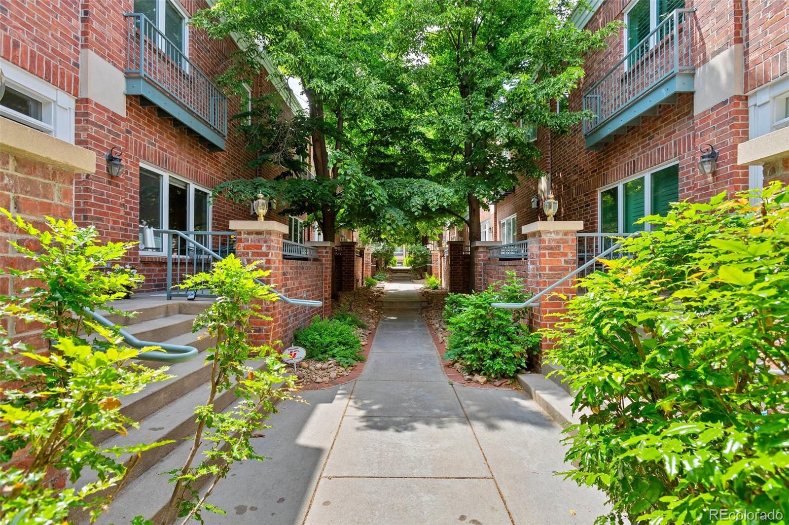 a view of a pathway with flower plants