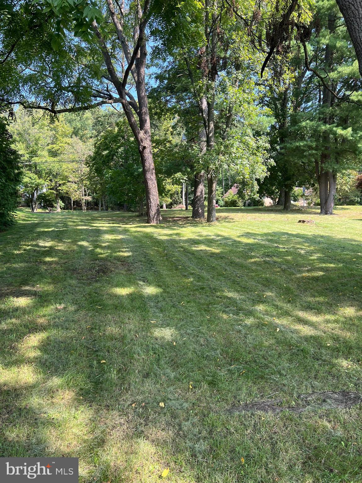 a huge green field with lots of trees