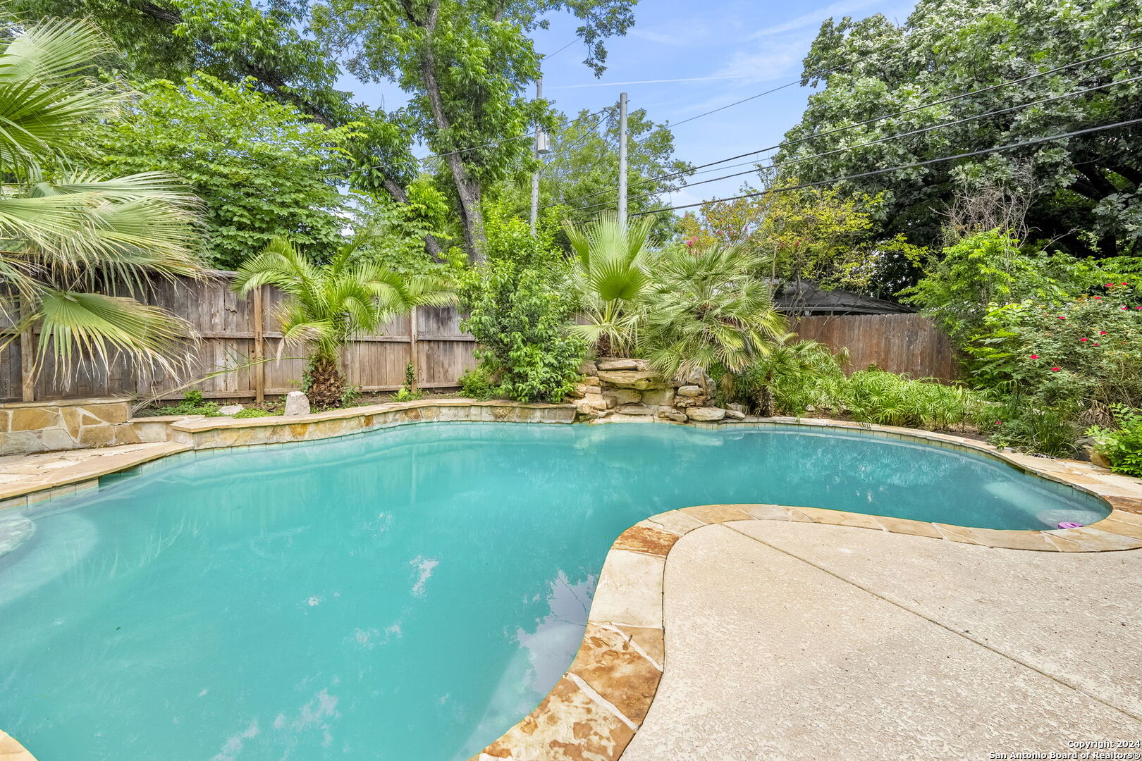 a view of a swimming pool with a garden