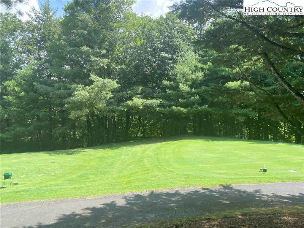 a view of a field with an trees