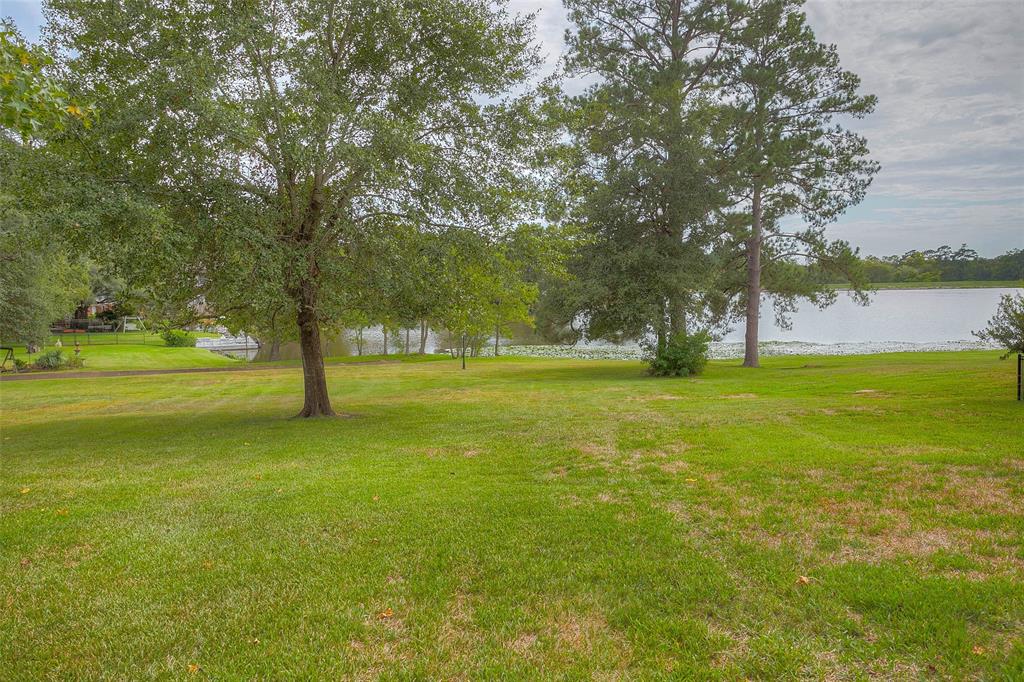 a view of yard with trees