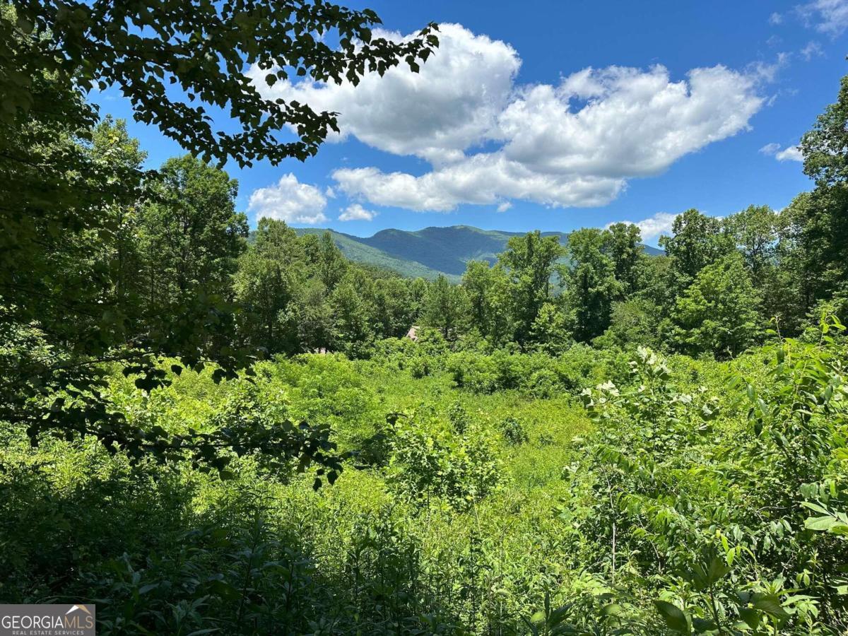 a view of a bunch of trees