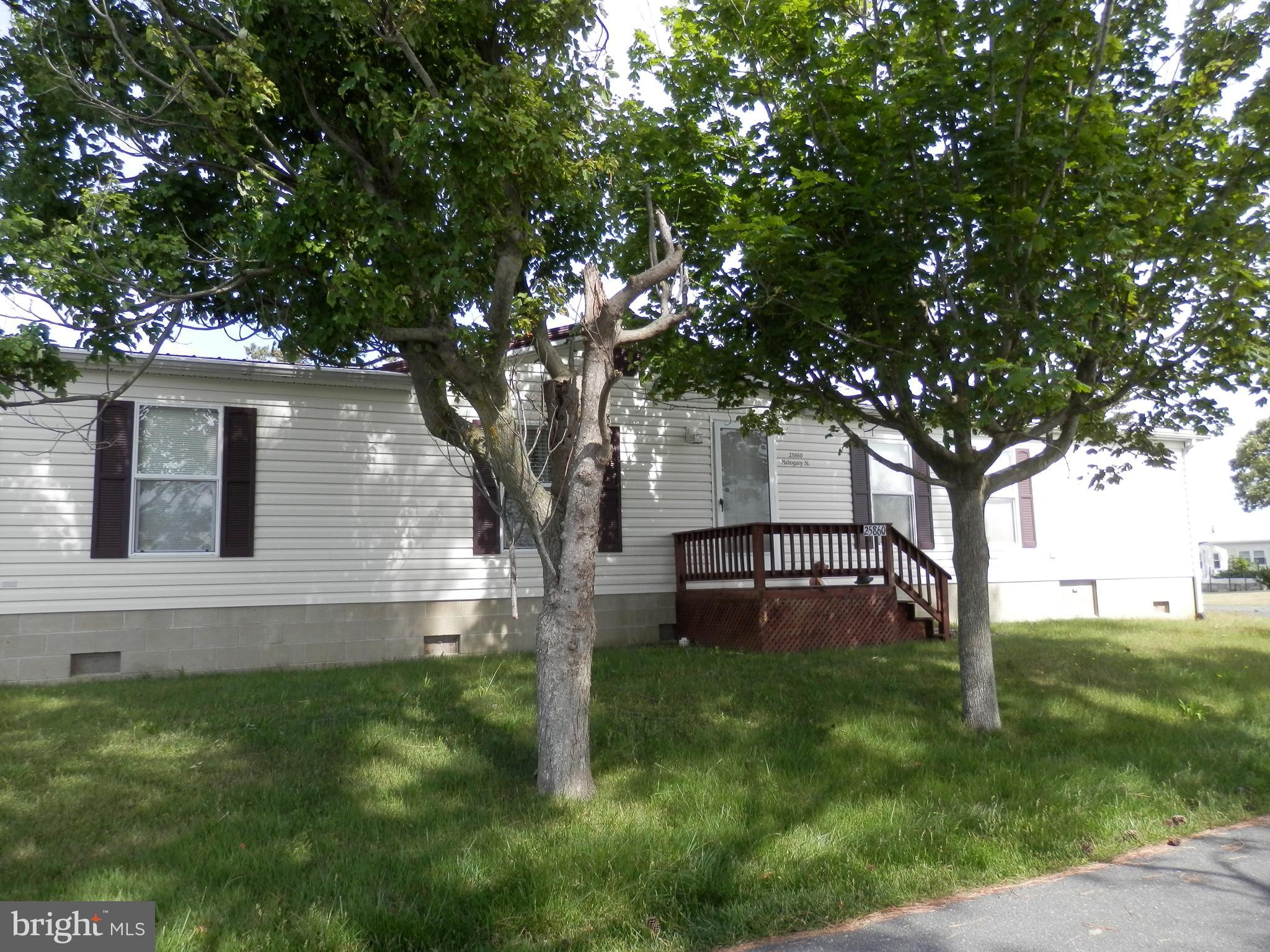 a view of a backyard with a large tree