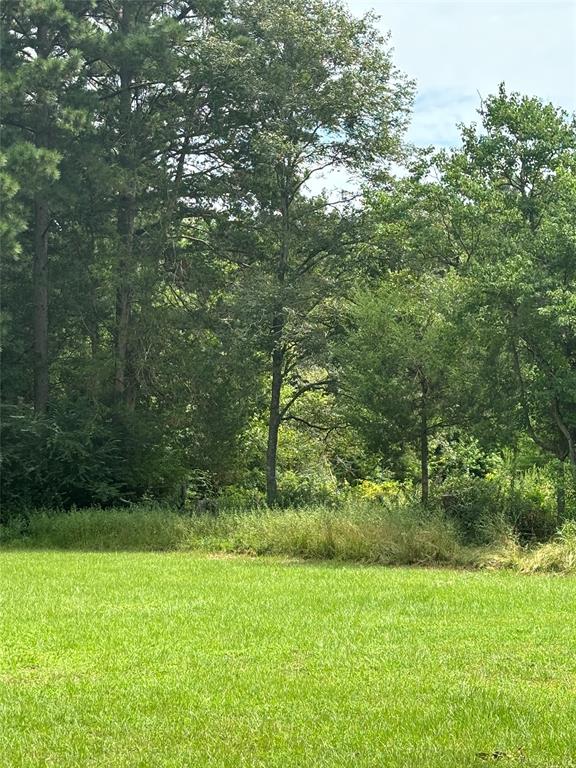 a view of an outdoor space and a yard