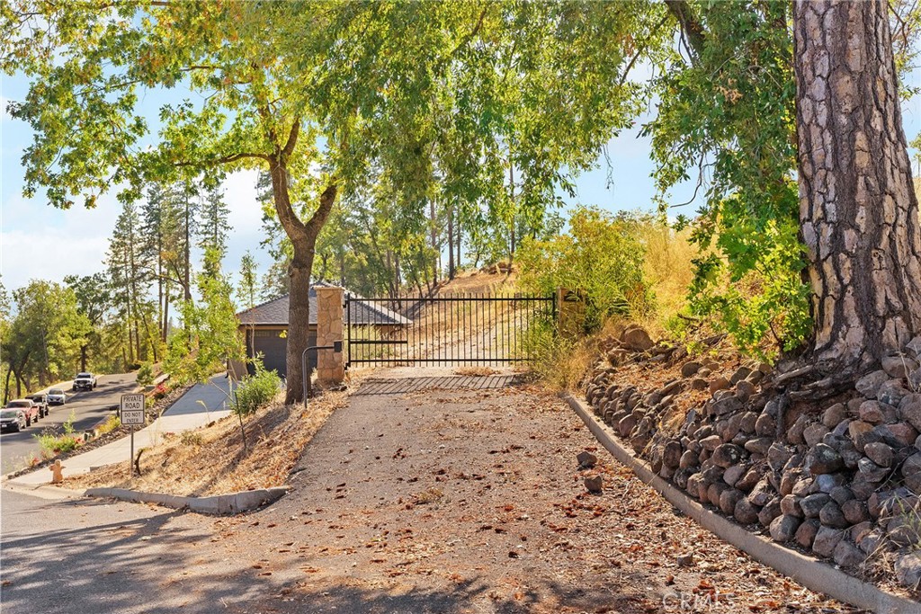 a view of a yard with plants and trees