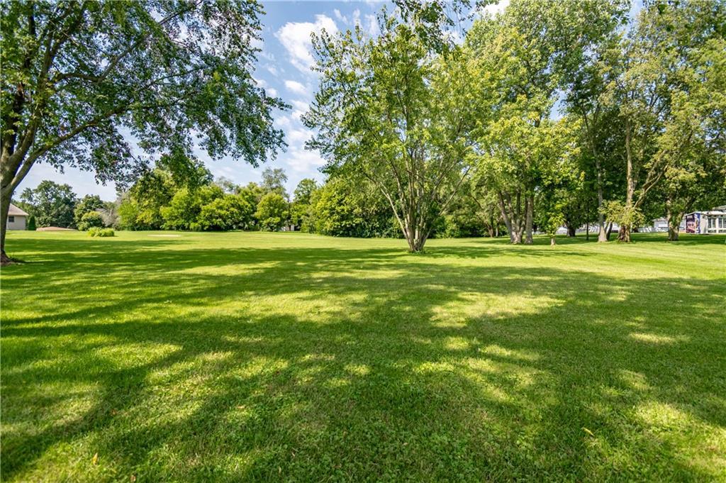 a view of a grassy field with trees