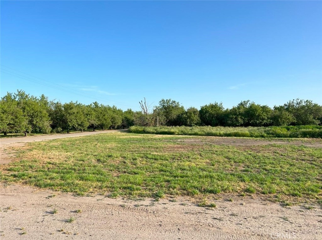 a view of an outdoor space and a yard