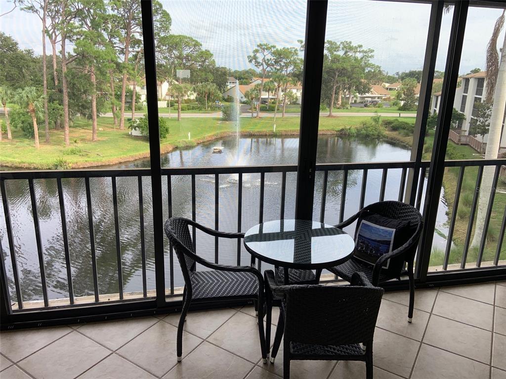 View from glass enclosed lanai.