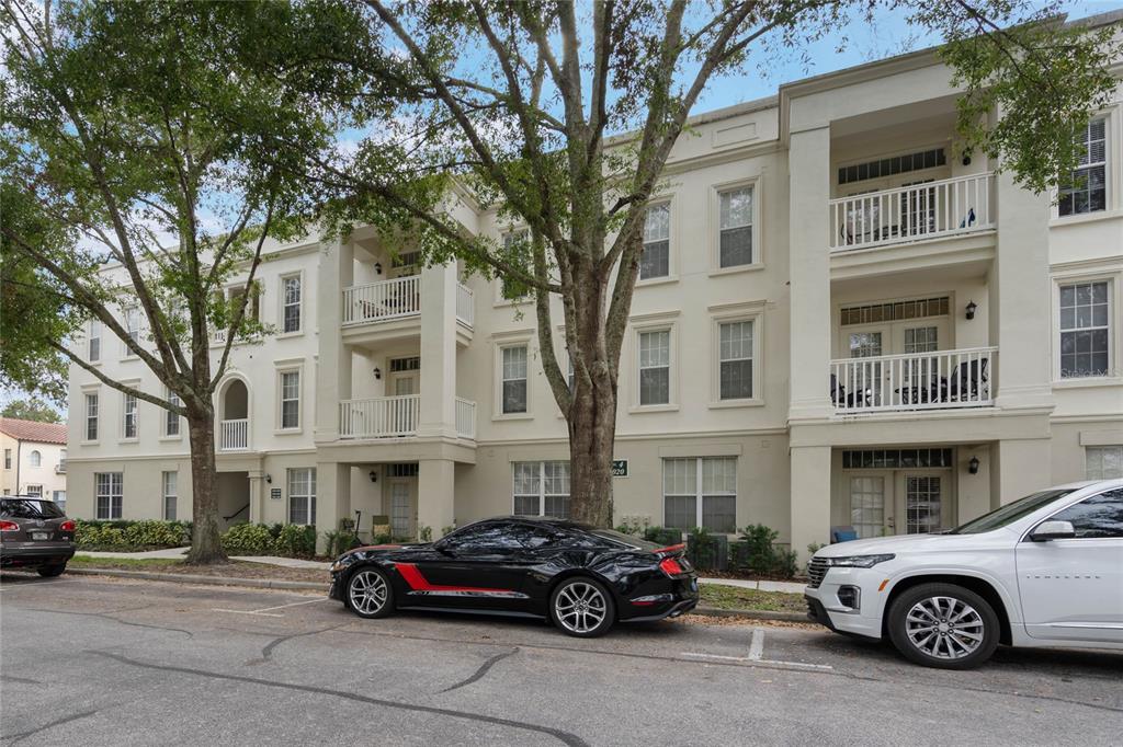 Top Floor Condo with Tree top views