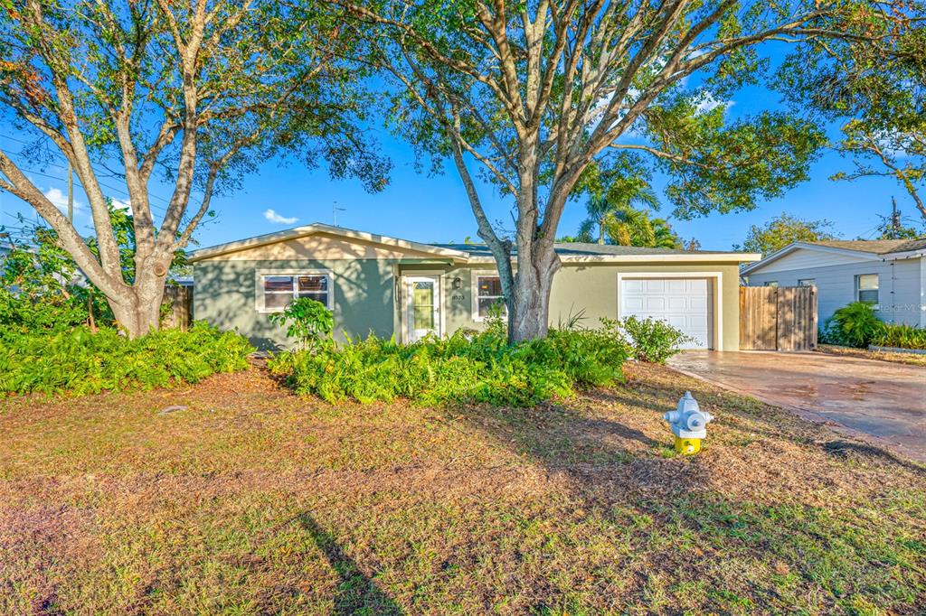 a view of a house with a tree in the yard