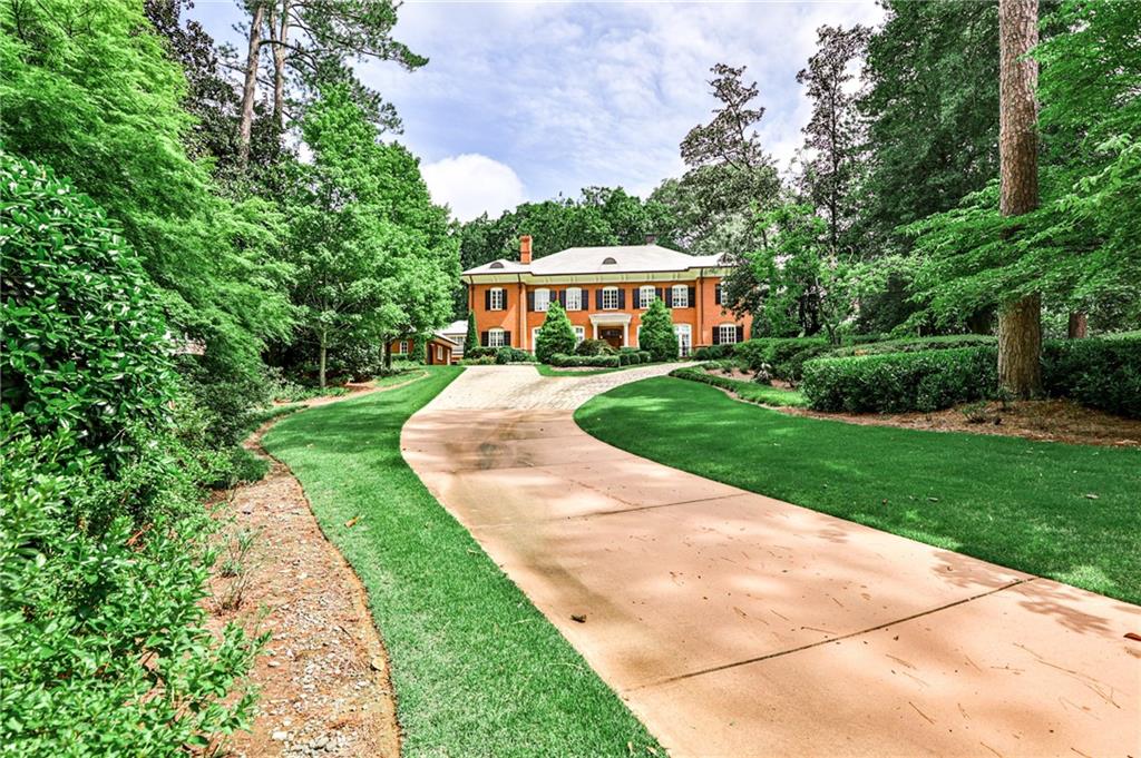 a view of a yard with plants and large trees