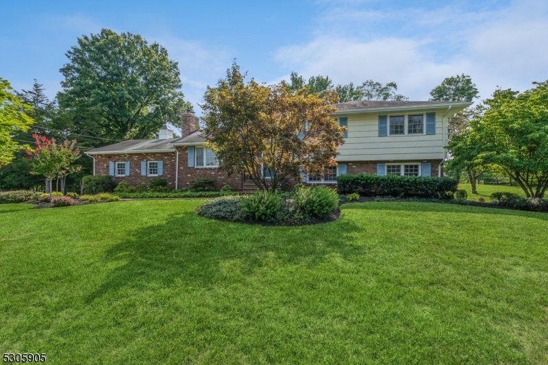 a view of house with a yard