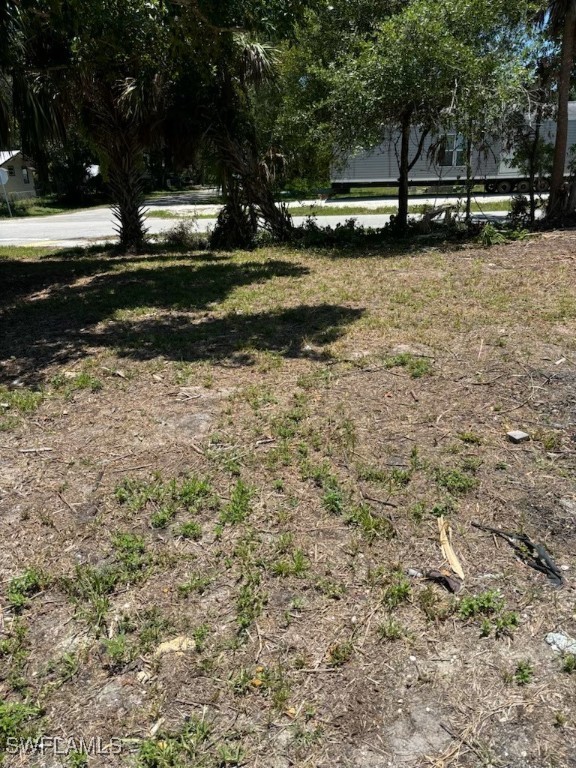 a view of a yard with large trees