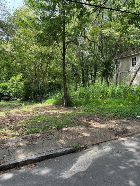 a view of a yard with a tree