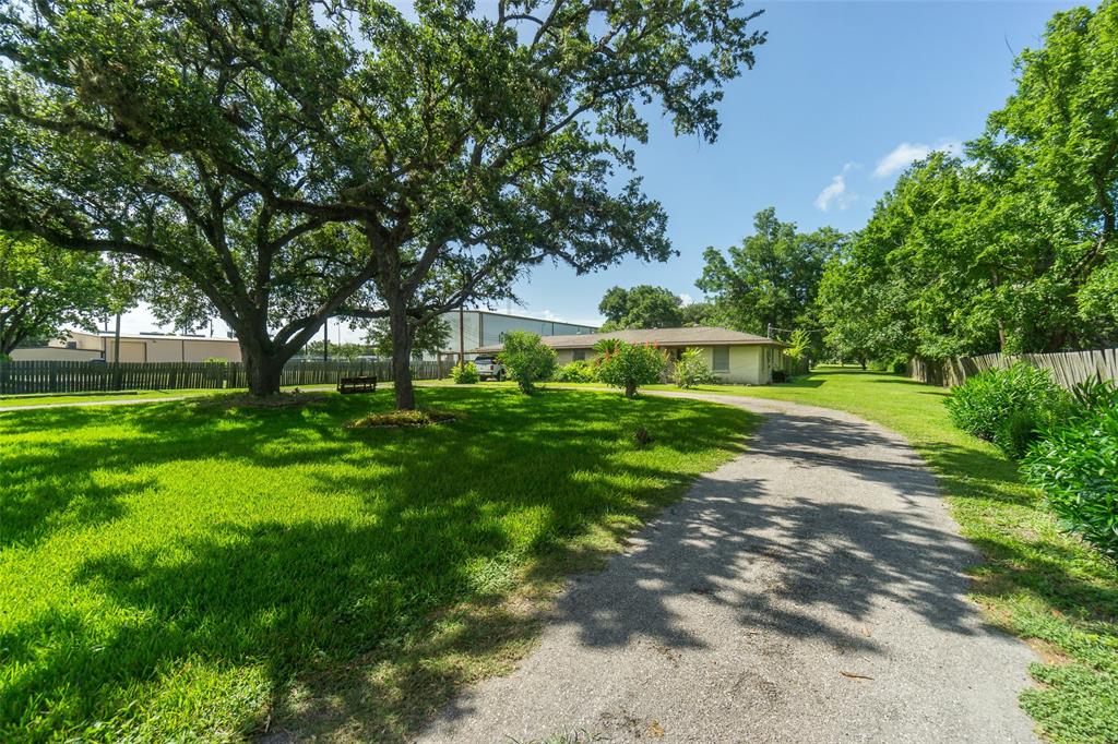 a view of a park with large trees