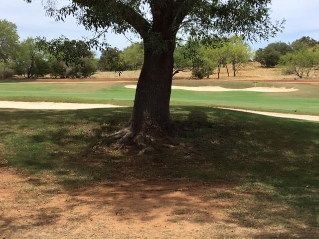 a view of a yard with an trees