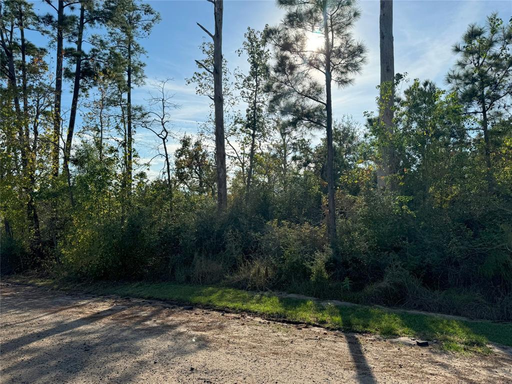 a view of a yard with plants and trees