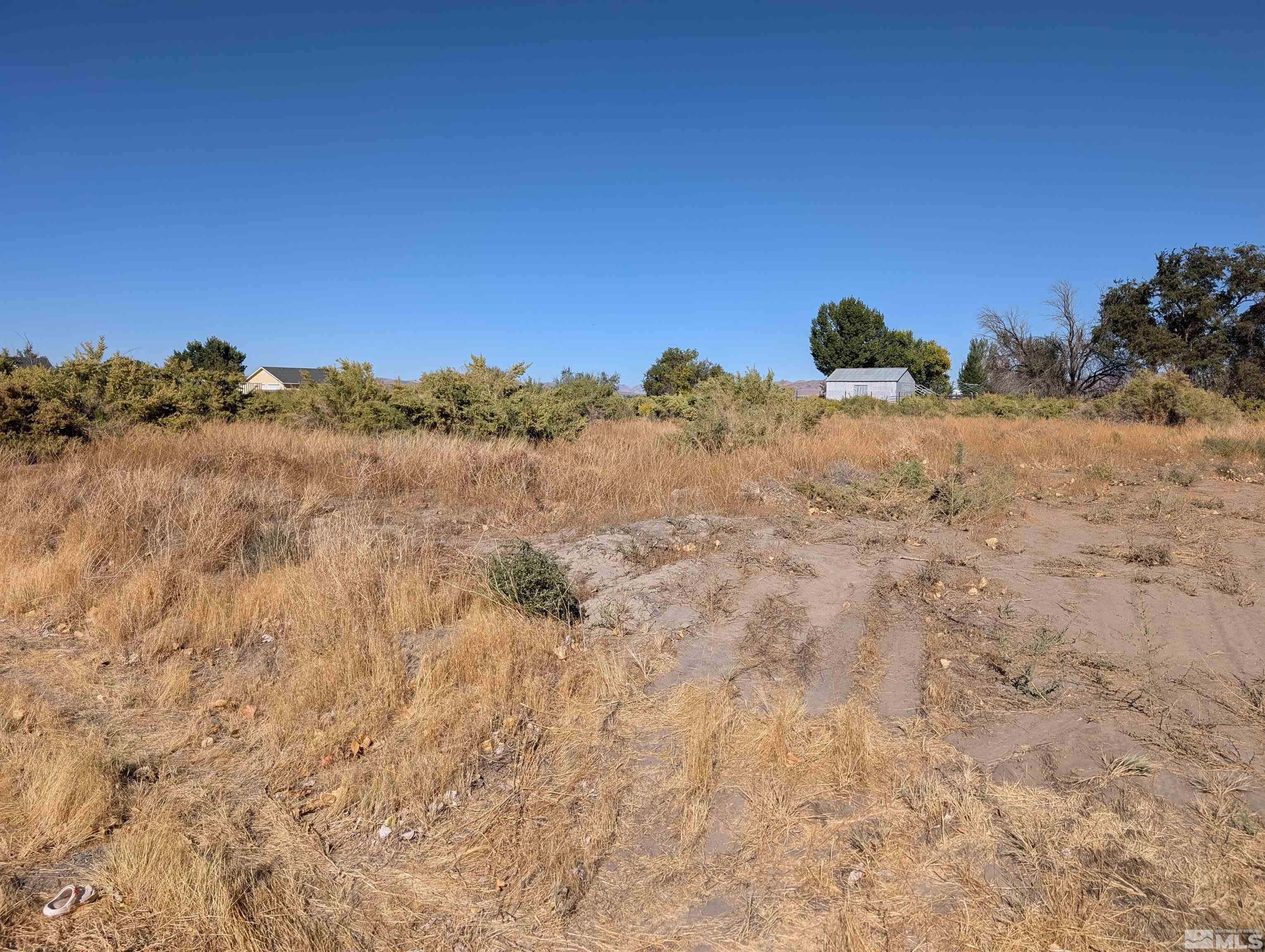 a view of a dry yard with trees