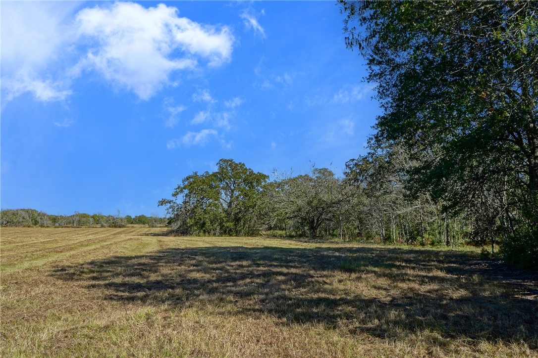 View of nature featuring a rural view