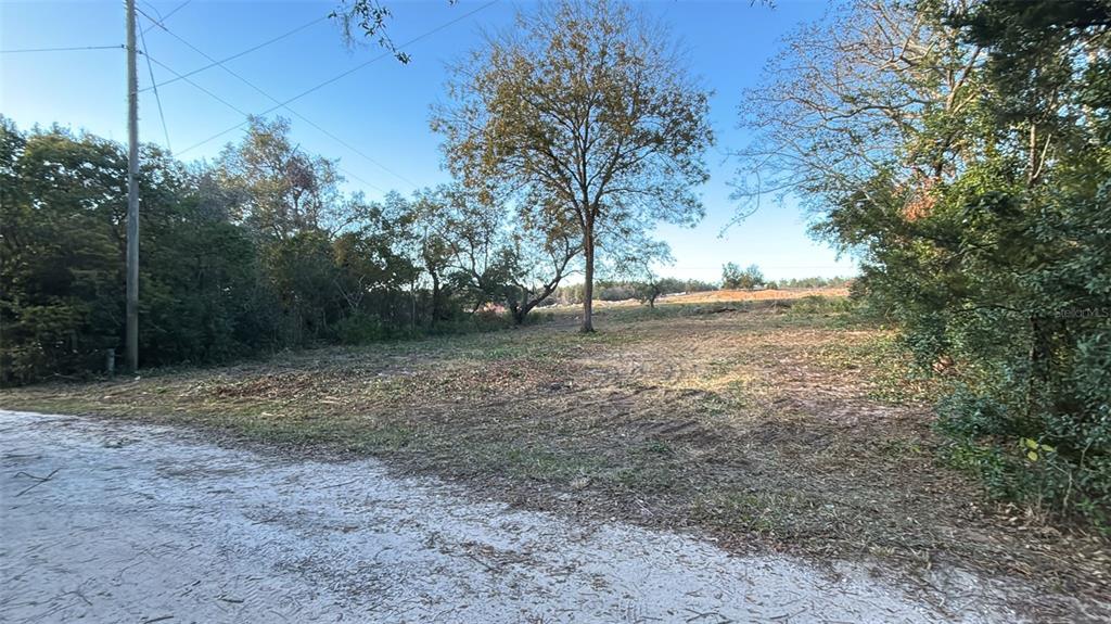 a view of a yard with a tree