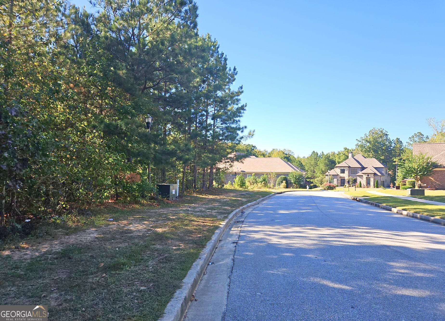 a view of a yard with an tree