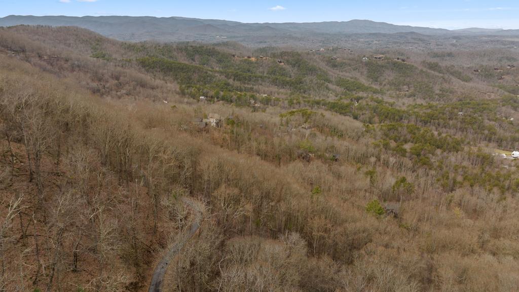 a view of a dry yard with mountains in the background