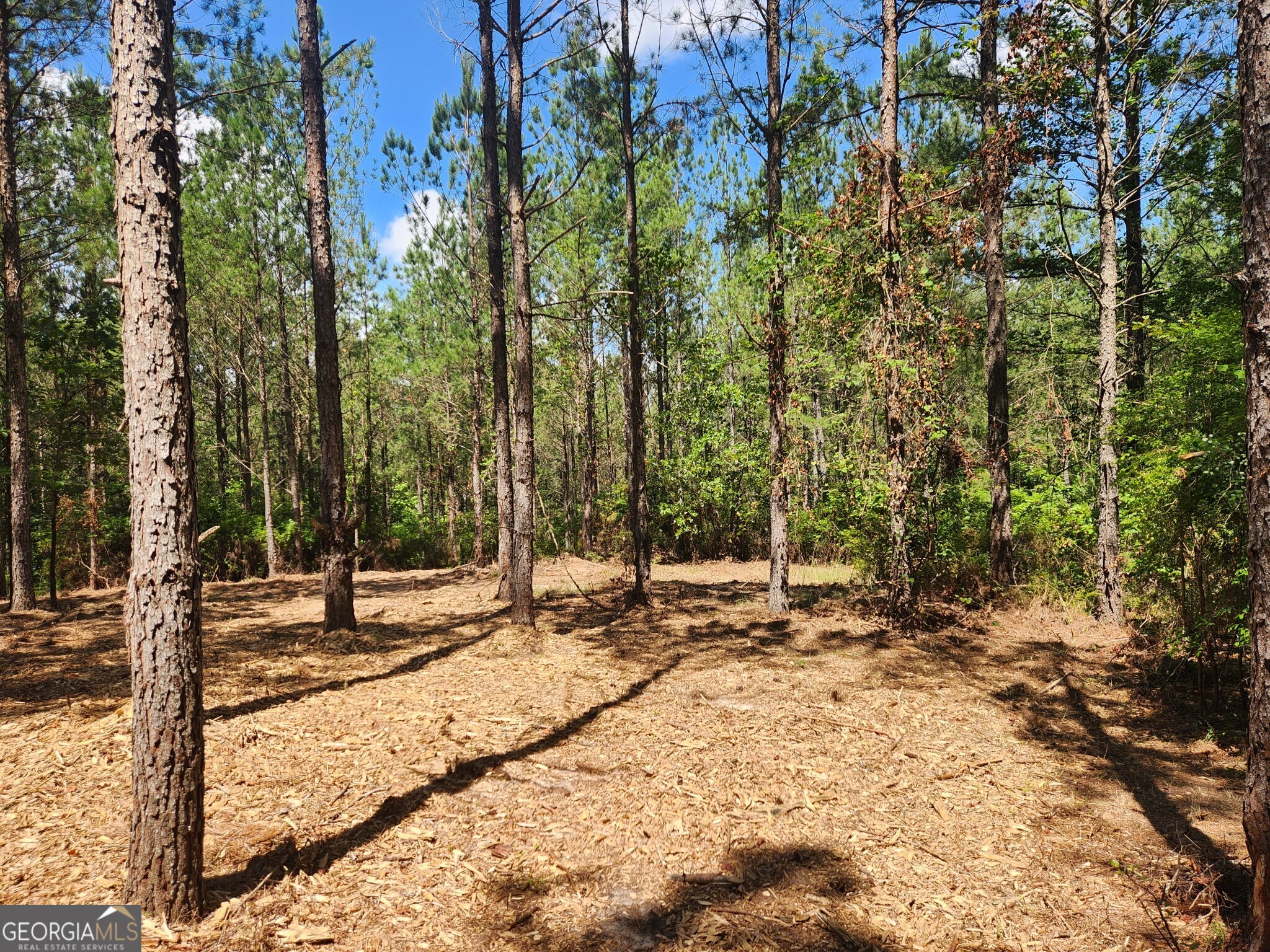 a view of outdoor space with trees