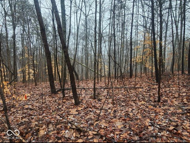 $75,000 | 0 Lutheran Lake Road | Van Buren Township - Brown County