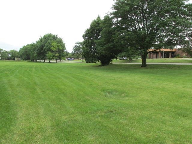 a huge green field with lots of trees