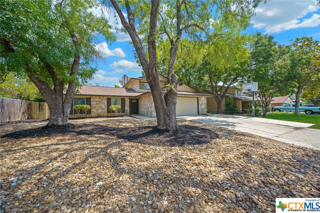 a backyard of a house with large trees and wooden fence