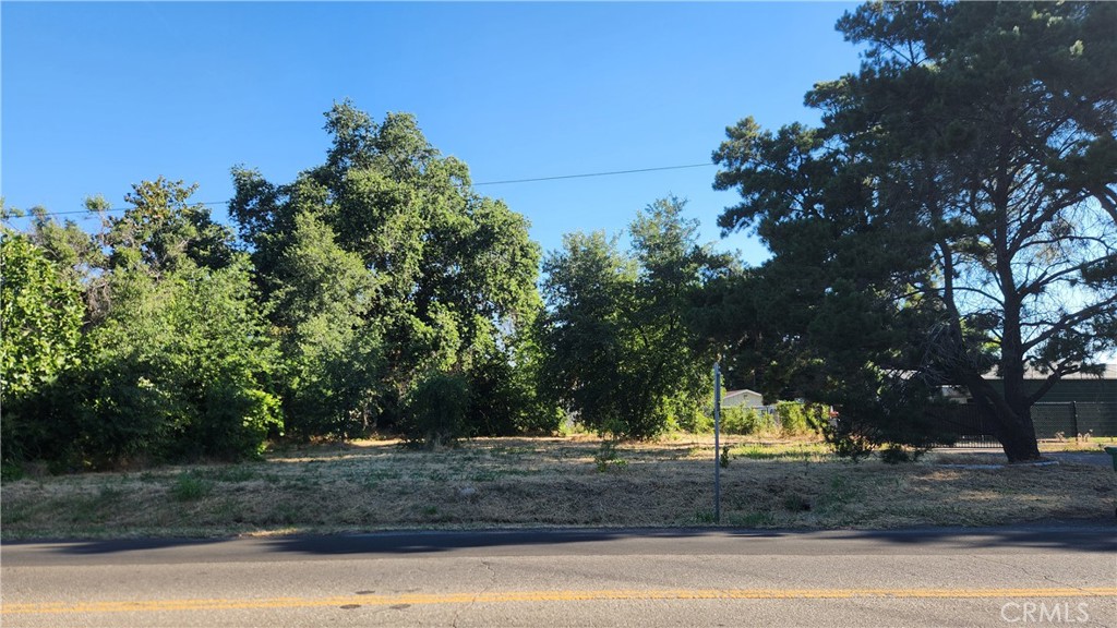 a view of a yard with a tree