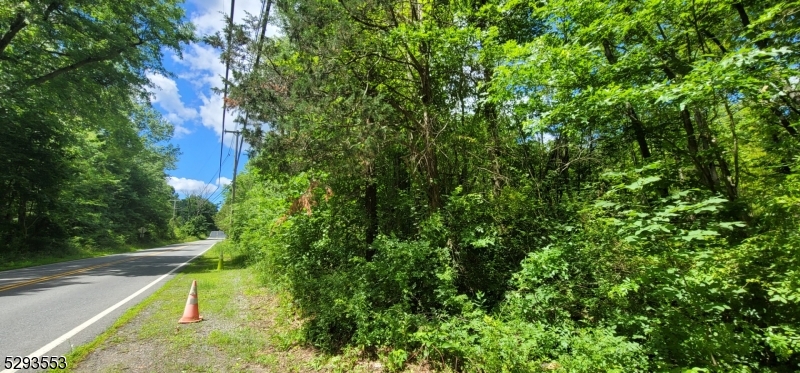 a view of a yard with plants