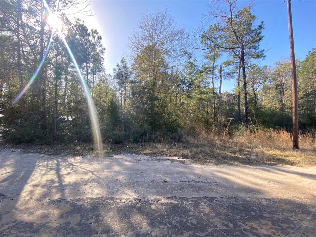 a view of a yard covered with trees