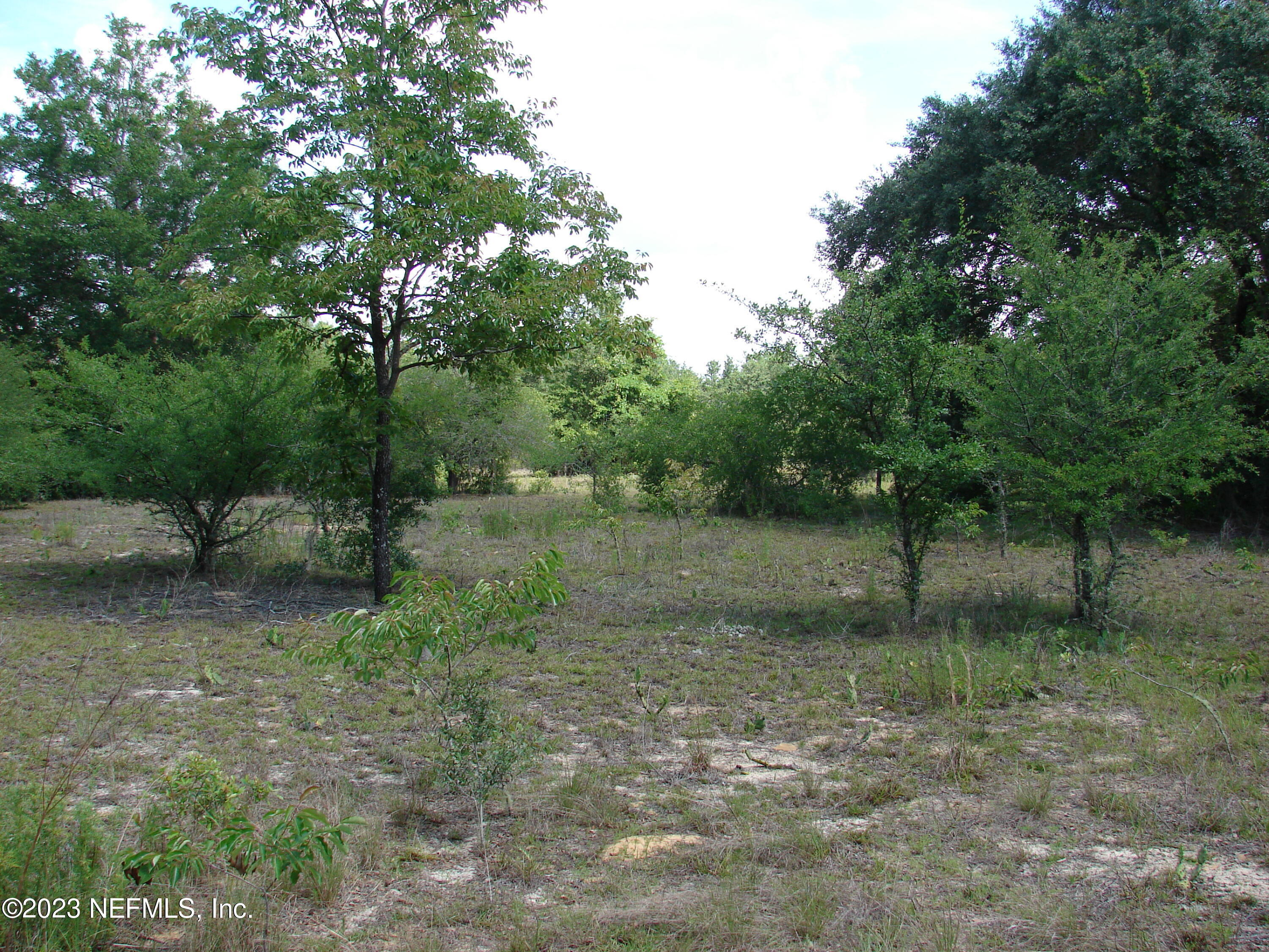 Front view of property