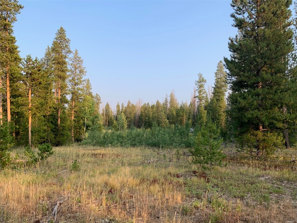 a view of a field of grass and trees