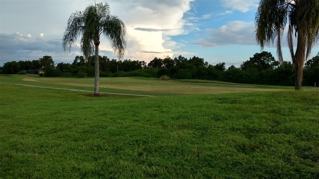 a view of field with tall trees