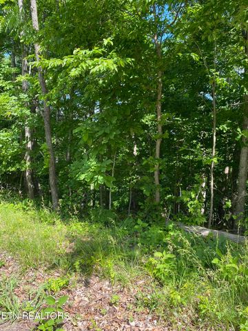 $200,000 | Buck Horn Road