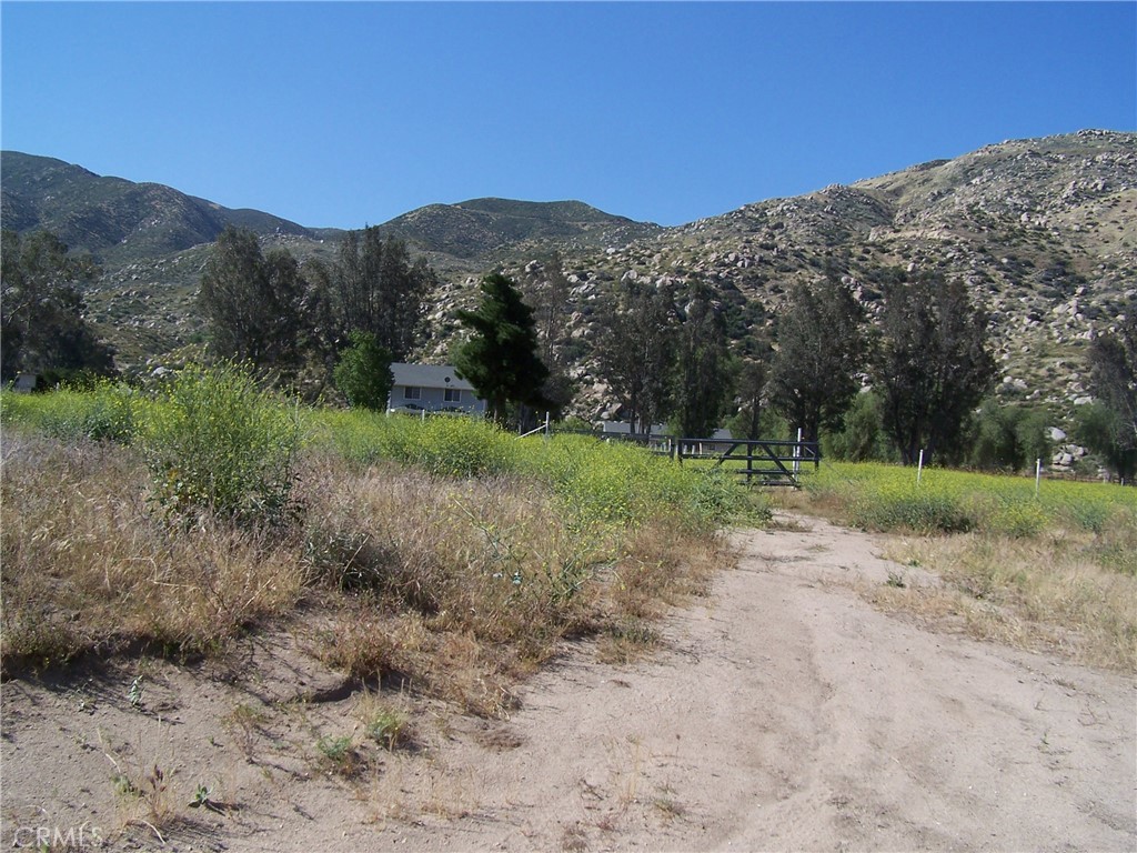 a view of a mountain with a tree in the background