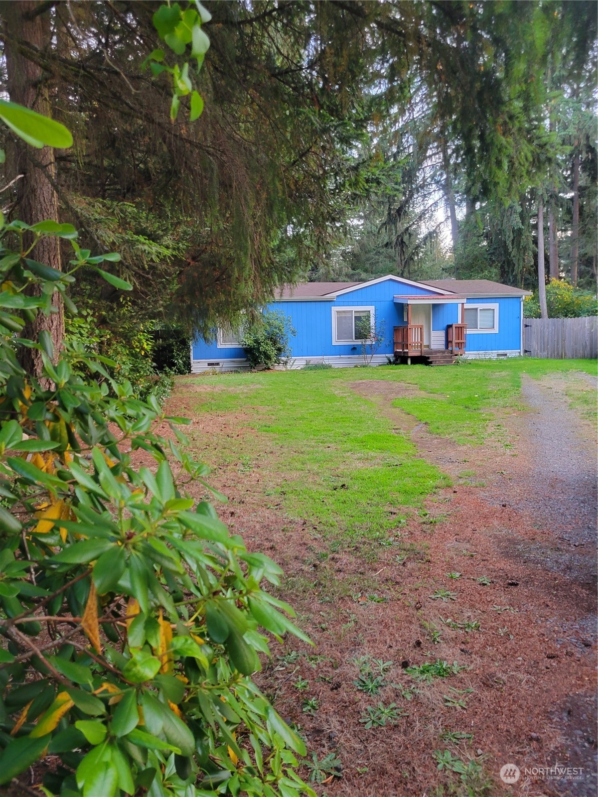 a view of a house with yard and large trees