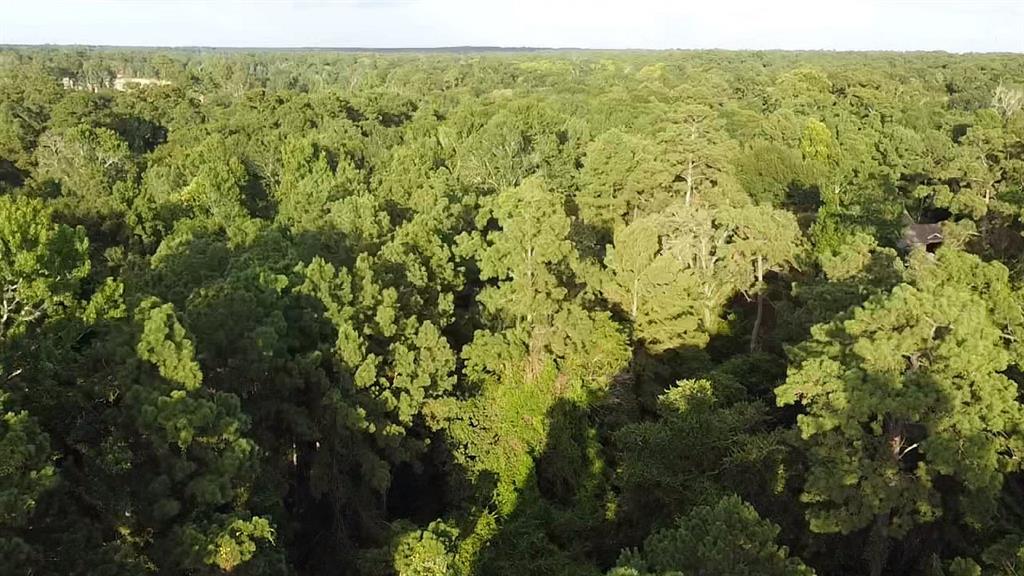 a view of a green field with lots of trees