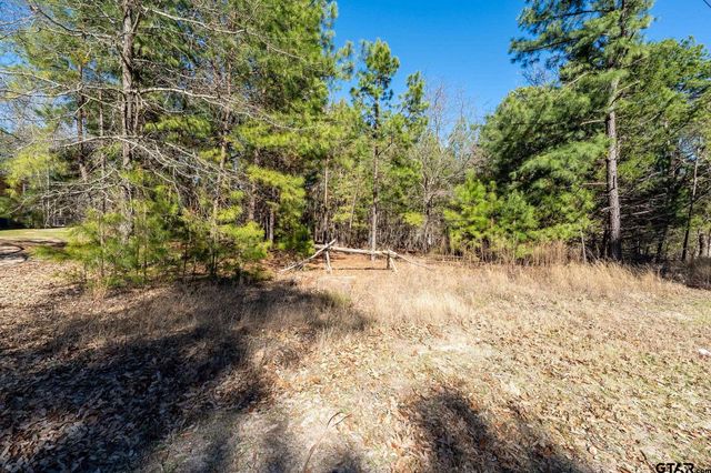 $30,000 | Lot 195 Green Meadow Trail | Holly Lake Ranch