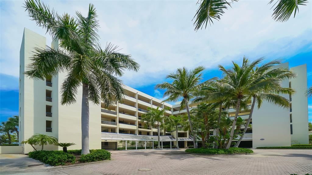 a view of a palm trees in front of a building