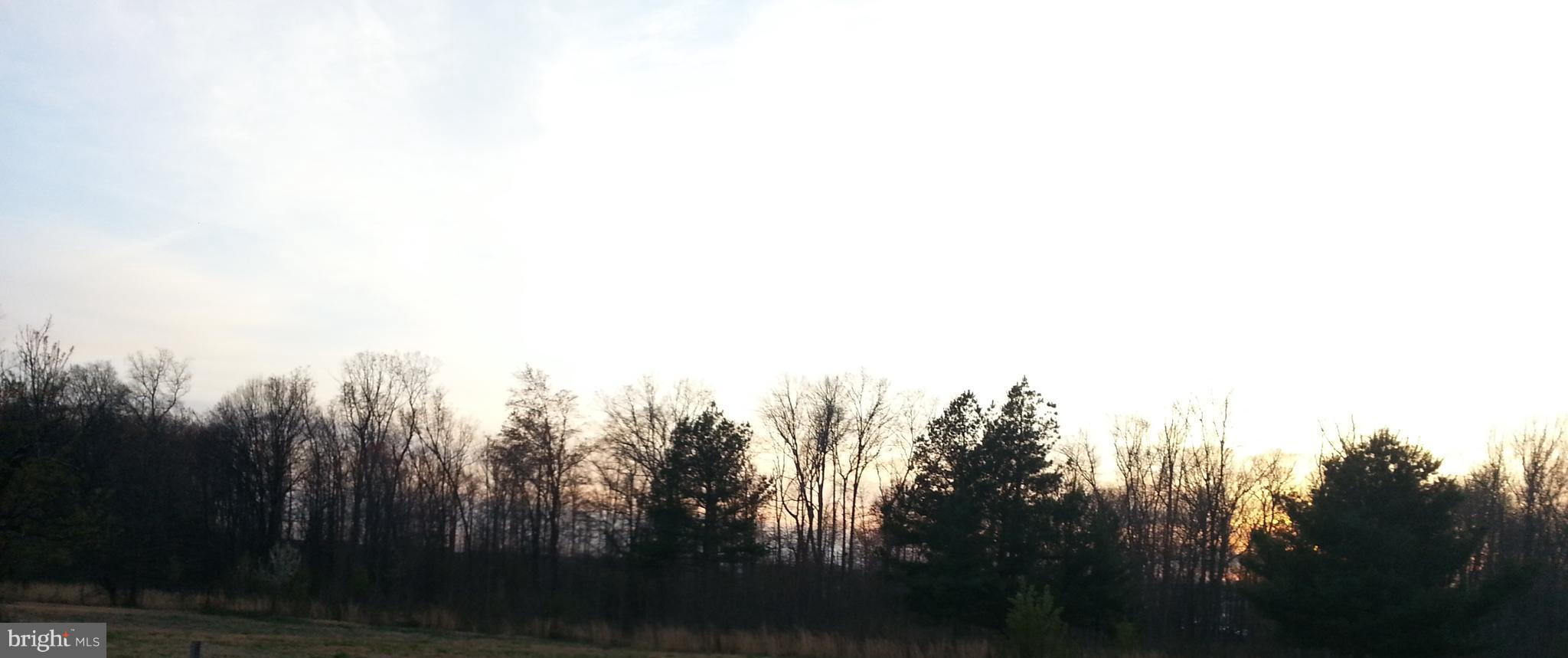 a view of a city with lots of trees