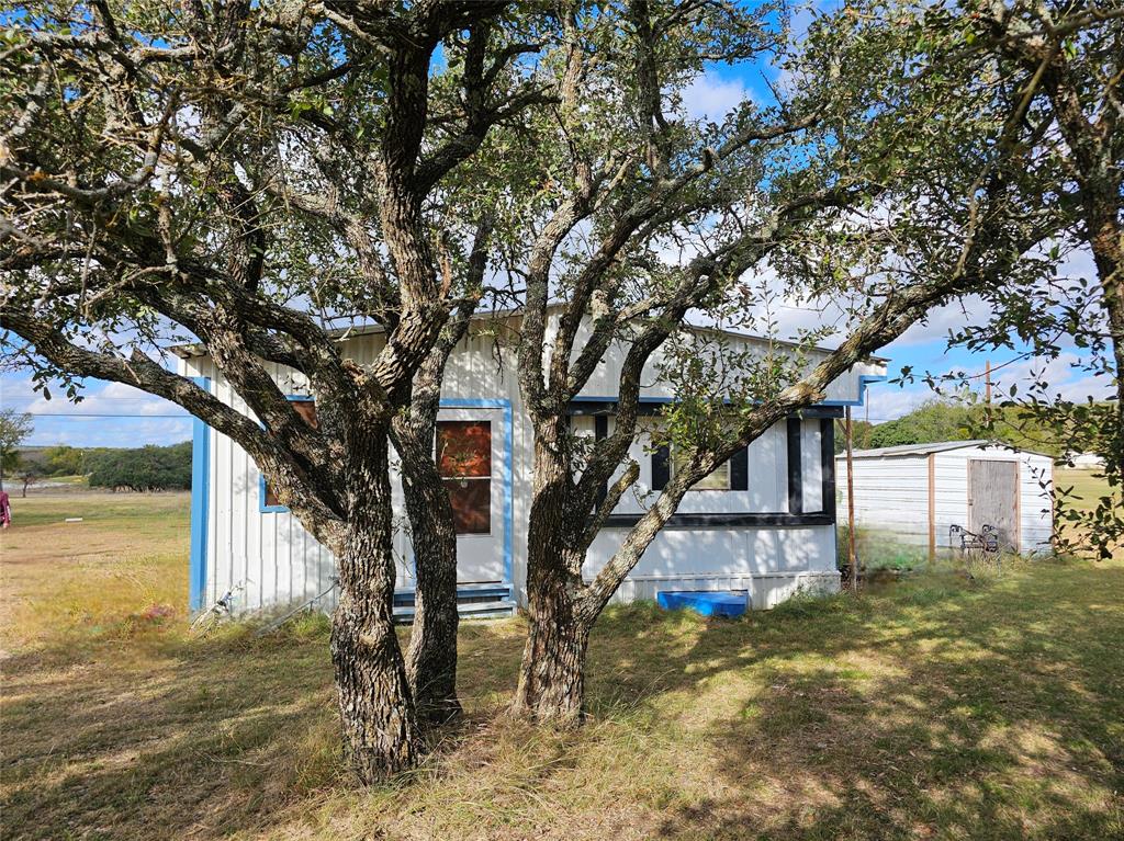 a view of a yard with plants and large trees